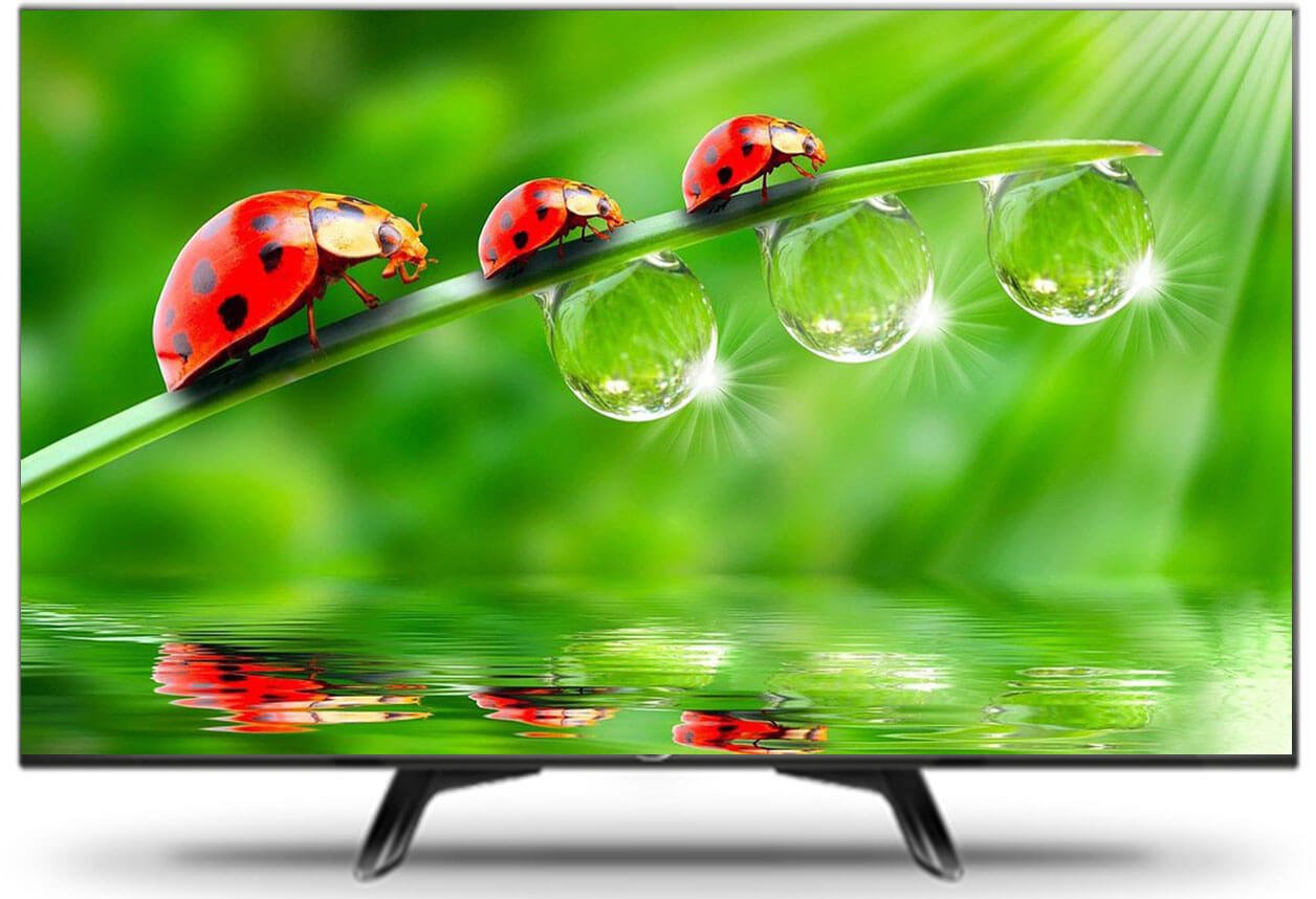 Video Conferencing Set