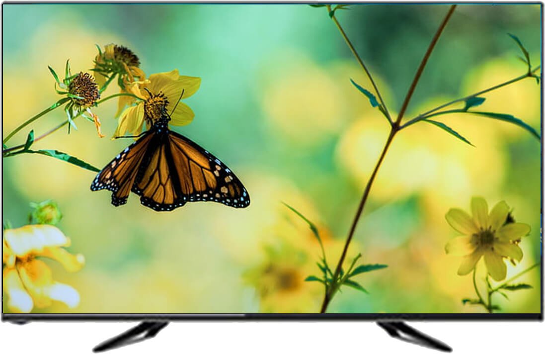 Google TV